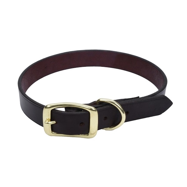 Latigo Leather Town Dog Collar with Solid Brass Hardware 5/8 in 16